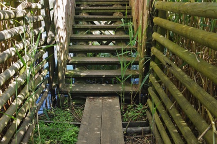 Bolle di Magadino (CH)